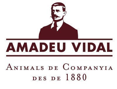 Amadeuvidal