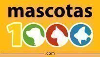 Mascotas1000