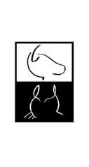 Salus Veterinària