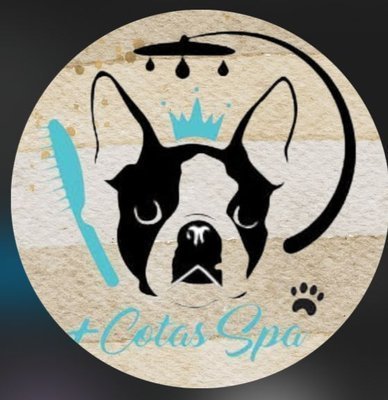 Mascotas_Spa
