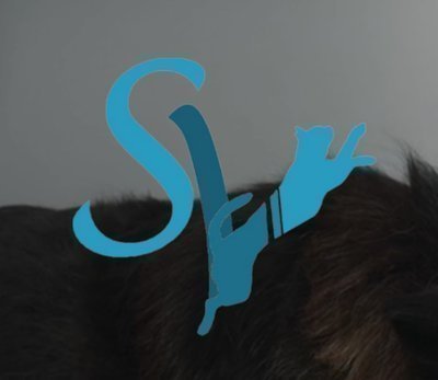 Centre Veterinari SmartVet